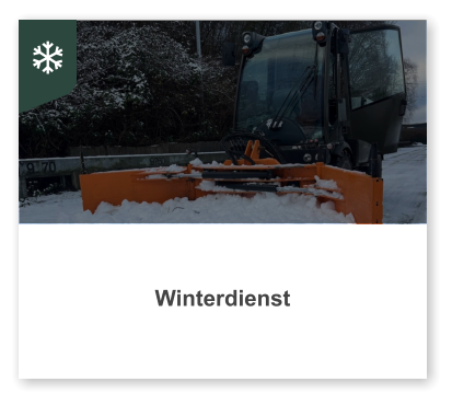 Winterdienst